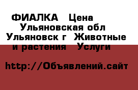 ФИАЛКА › Цена ­ 100 - Ульяновская обл., Ульяновск г. Животные и растения » Услуги   